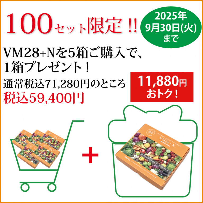 VM28＋N・5箱＋1箱プレゼント