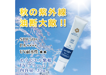 セラピエル紫根UVクリーム